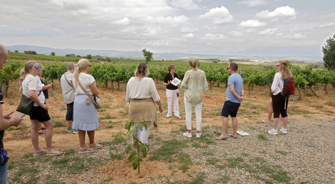 KUONI TUMLARE MEETINGS & EVENTS