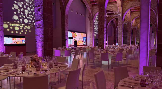 TECNOSO LIGHTS AND SOUND 